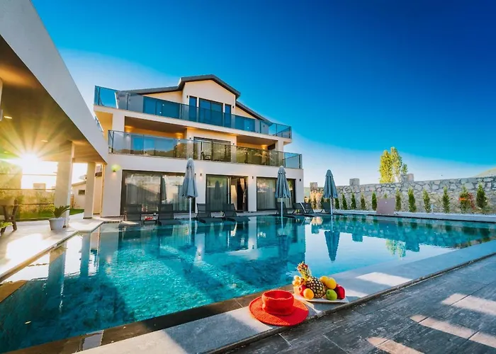 Memories Palace 페티예